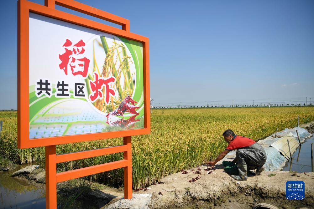 pg电子娱乐十大平台